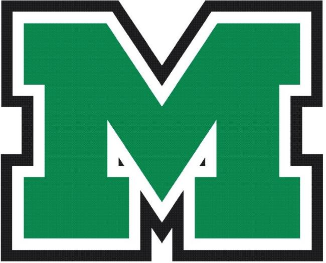 Mason Comets: Team Stein Home Page