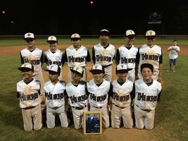 baseball 13u teams 10u